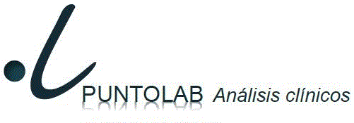 PUNTOLAB logo